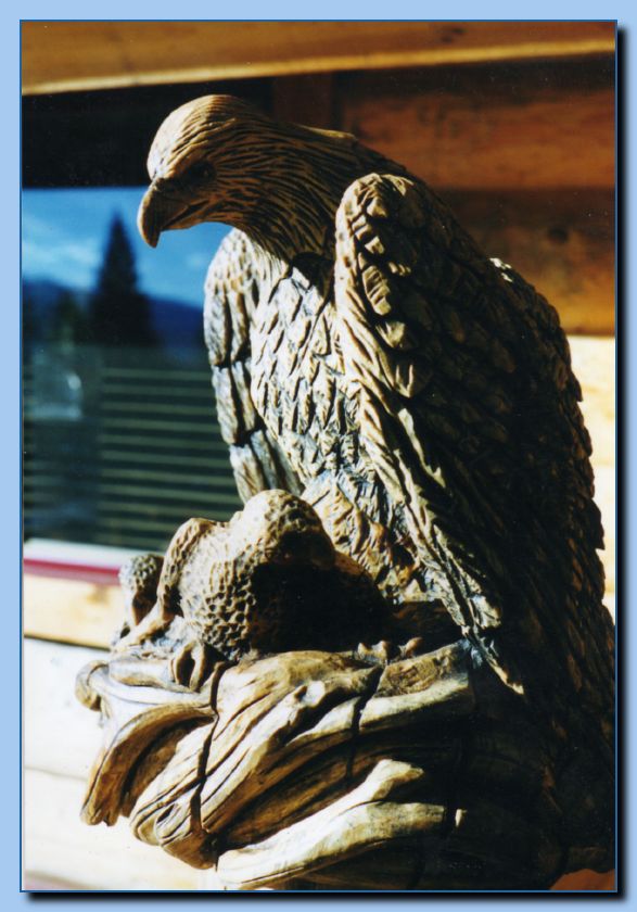 2-30 eagle  perched, half-spread wings-archive